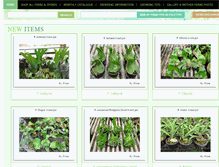Tablet Screenshot of iloveferns.com